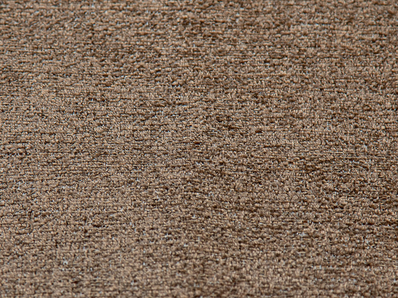 Sala Ivonne 2P #Color_Sienna"T36701"