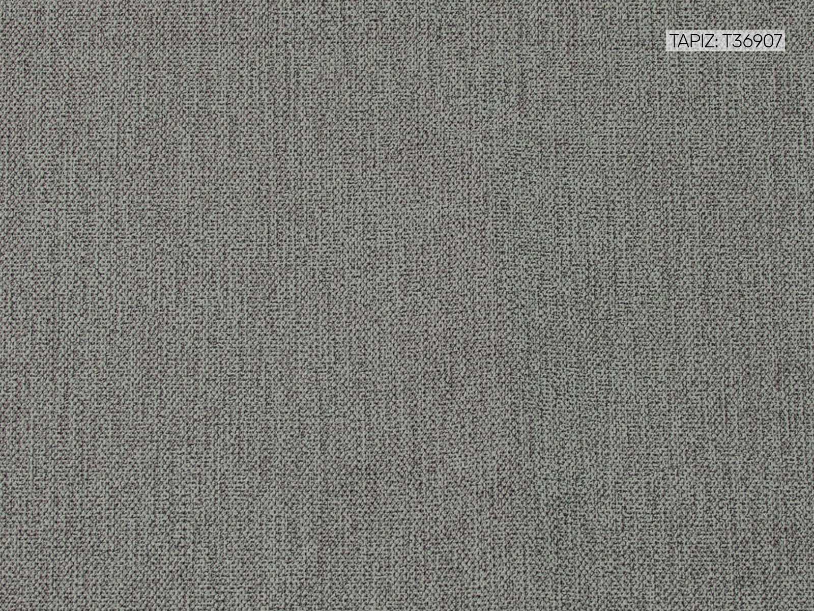 #Color_Gainsboro"T36907"