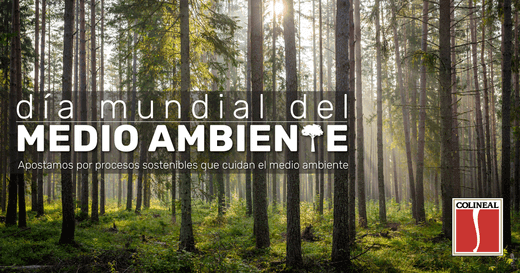 dia-medio-ambiente