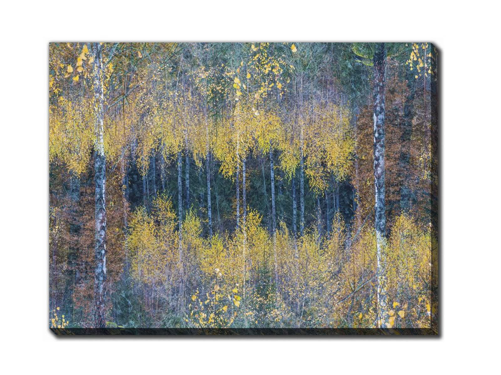 Cuadro Flourishing Forest