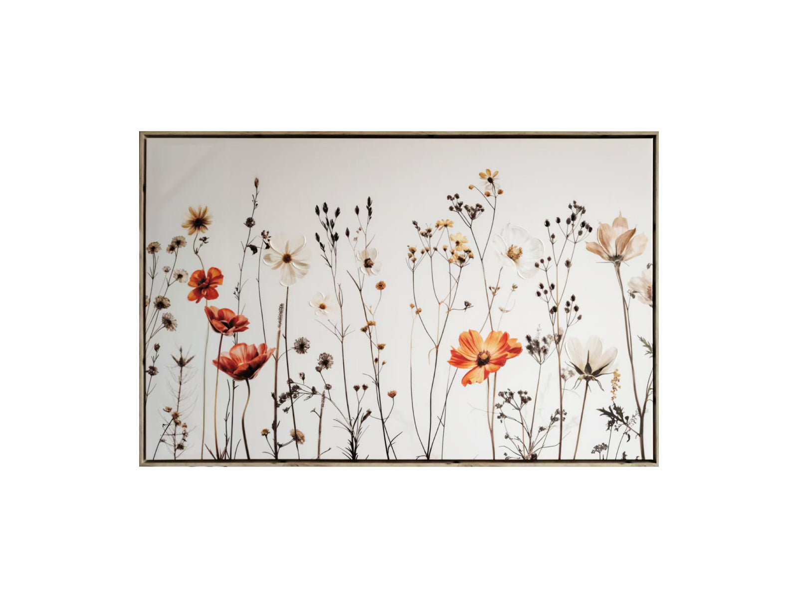 Cuadro Floral Botanical Manuscrips