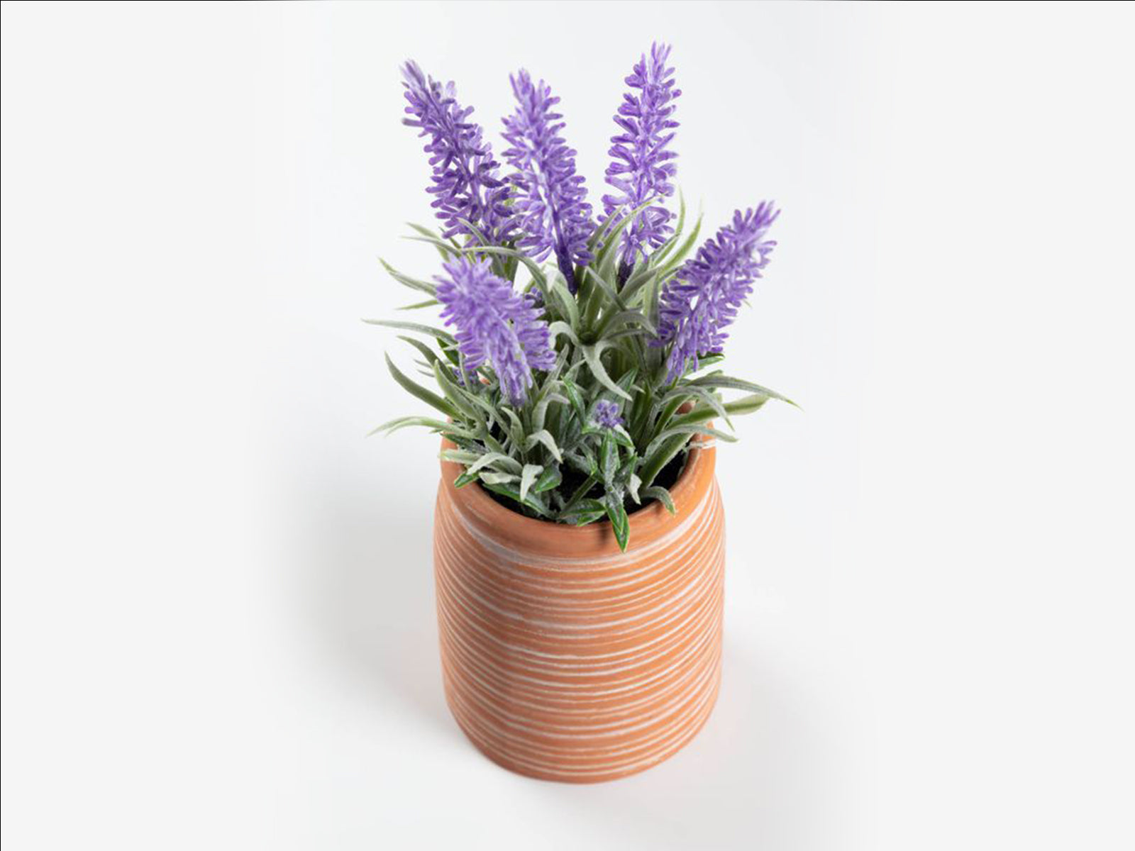 ARREGLO FLORAL LAVANDA MACETA MARRON